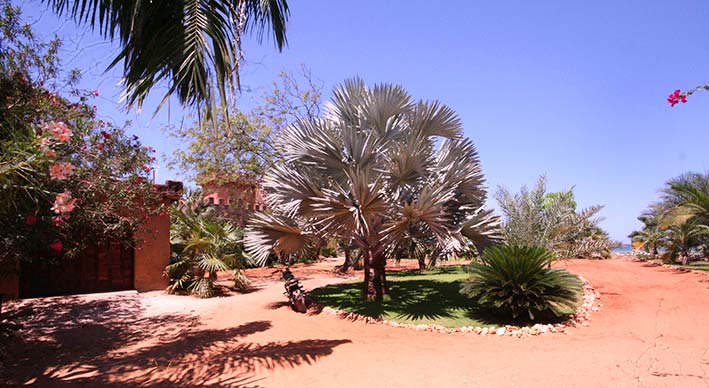 entering the beach compound