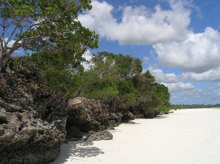 short cliffs as coastal step