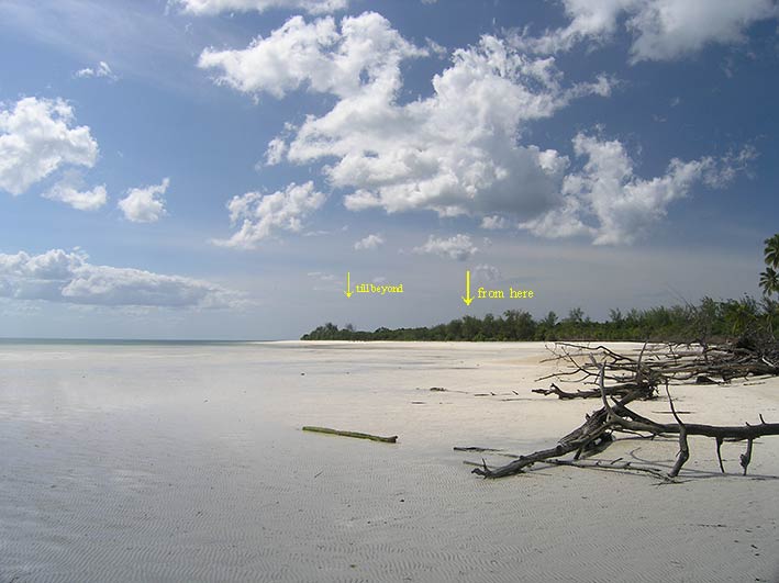 ldream beach measurements