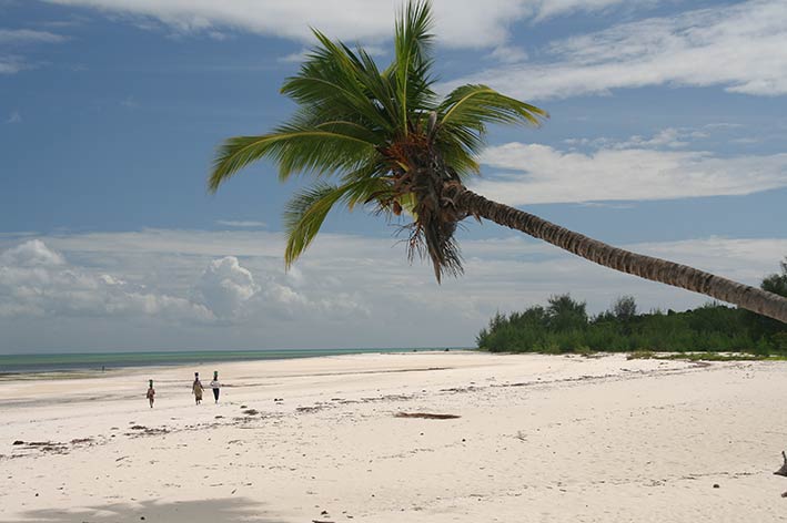 enter "Dream sand" beach