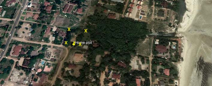 satellite picture
