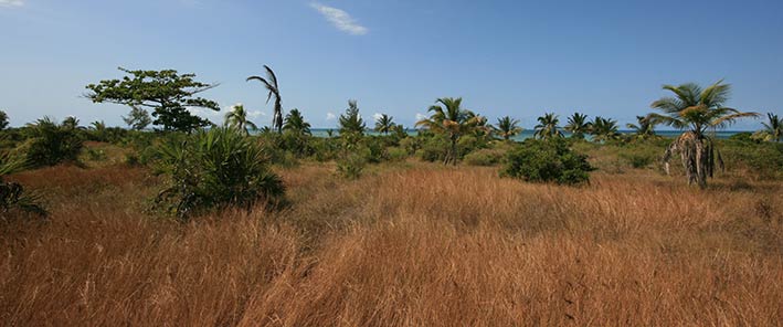 untouched hinterland of the beach