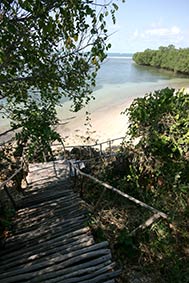 Southern beach patch of the "Deep Sea fishing"