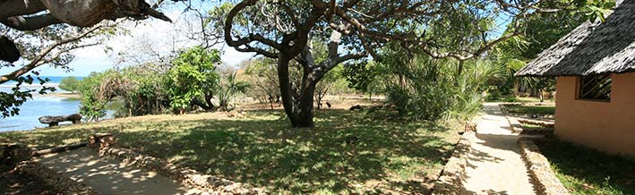 shady ocean frontage