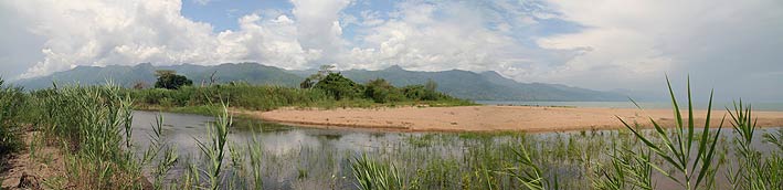 estuary in the property