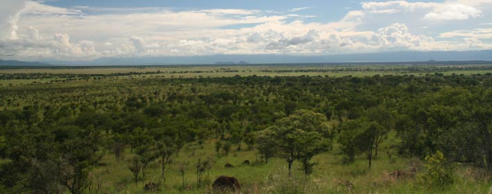 the farm property during raining season