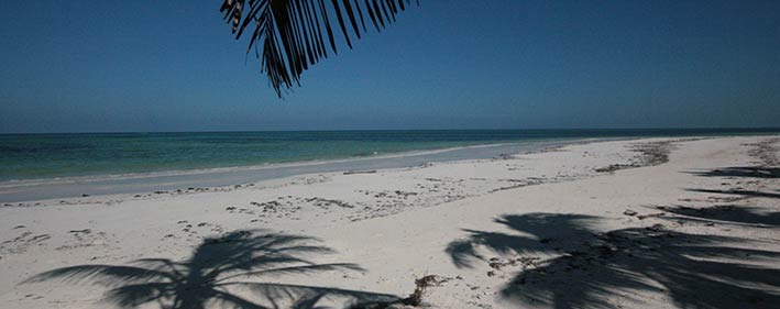 white sand beach of the famous East Coast