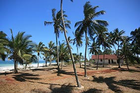 coconut villas
